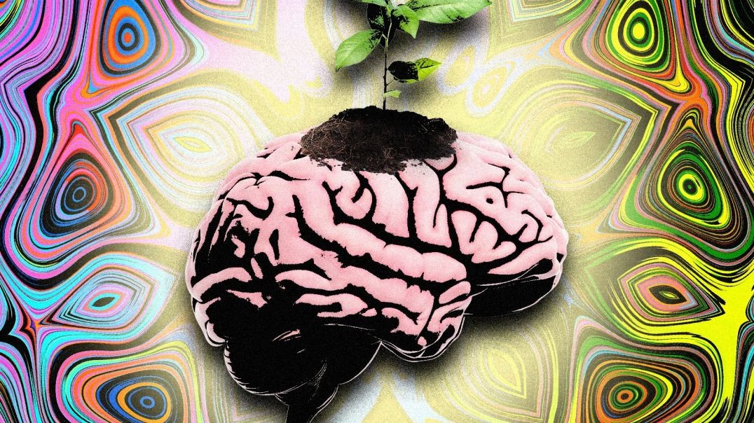 ⁣Getting High with a Hallucinogenic Toad Prophet