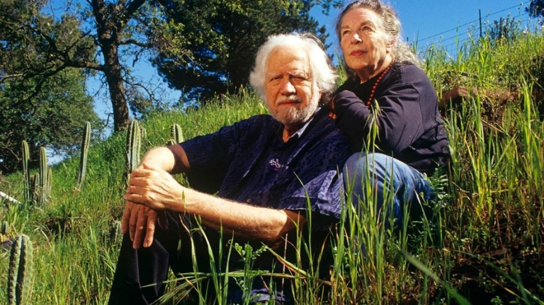 Ann and Sasha Shulgin Describe the Shulgin Scale