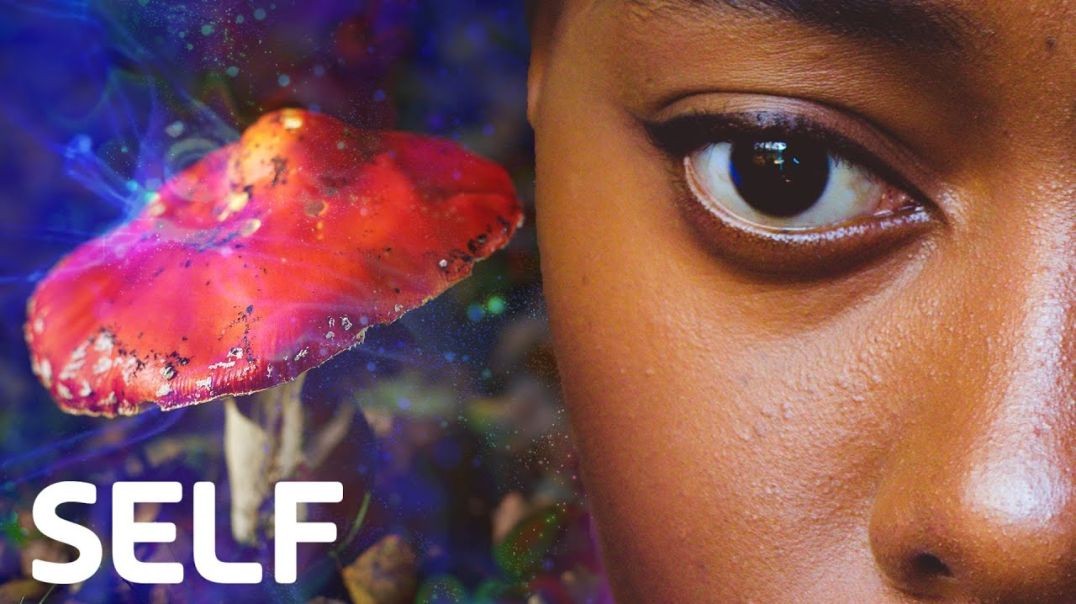 Expert Answers Psychedelics Questions From Twitter