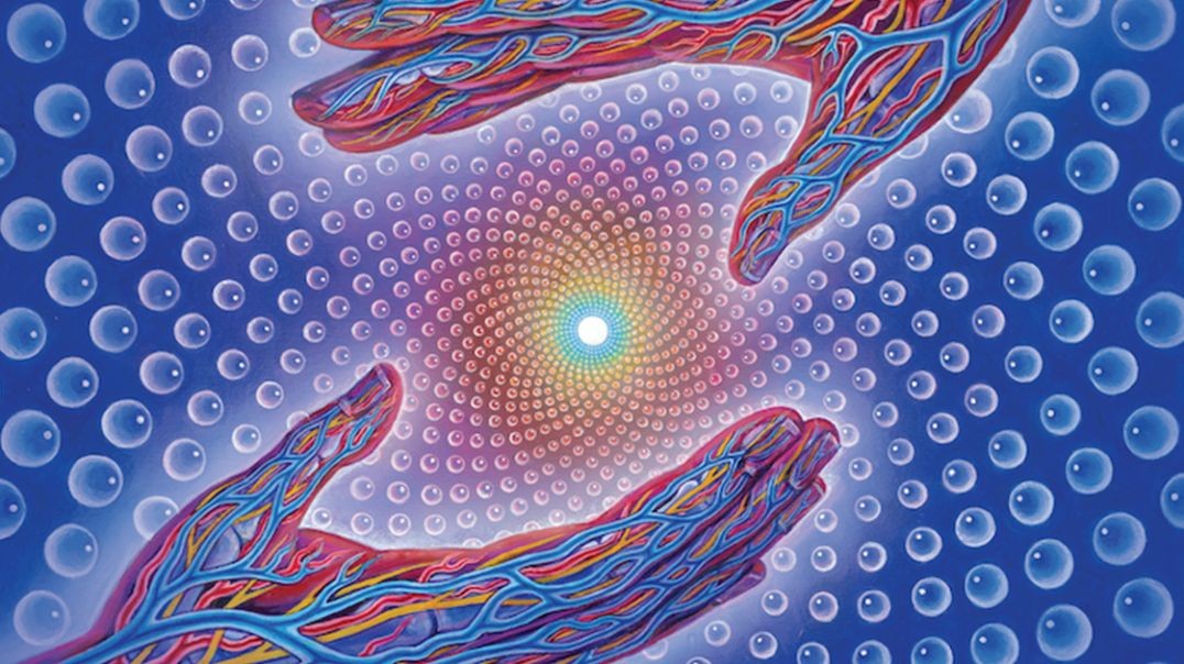 In Praise of Psychedelics_ Rick Doblin and the MAPS Project