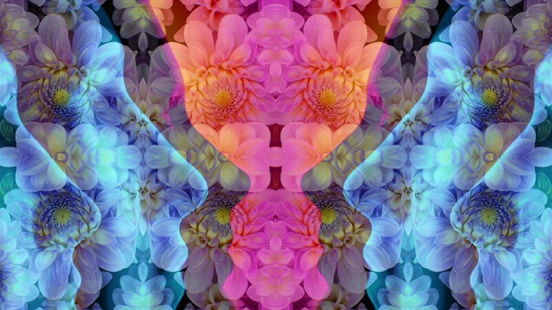 Ethical Considerations in the Medicinal Use of Psychedelics - Julie Holland