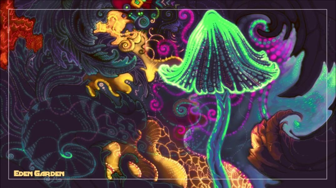 ⁣Cosmic Music To Listen While Tripping On Mushrooms