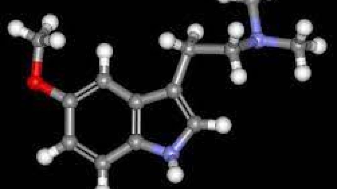 5 MEO DMT _The God Molecule_ #Shorts #MALM