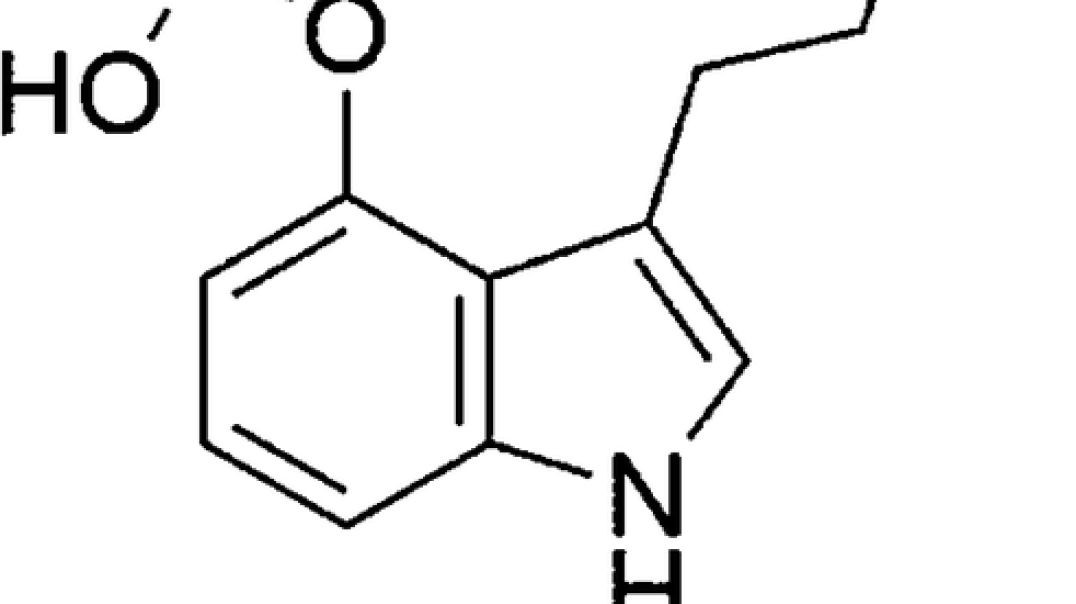 The science of psilocybin and its use to relieve suffering