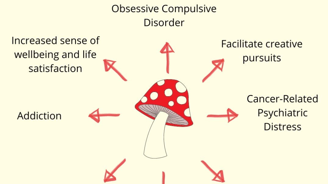 ⁣The Benefits of Psilocybin & Psychedelics