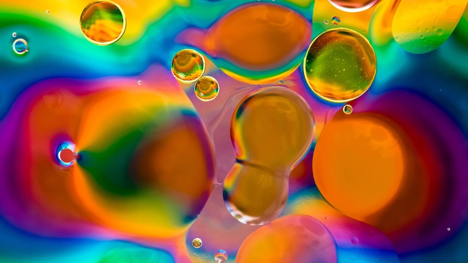 ⁣Psychedelics_ The scientific renaissance of mind-altering drugs _ Sam Harris, Michael Pollan & m