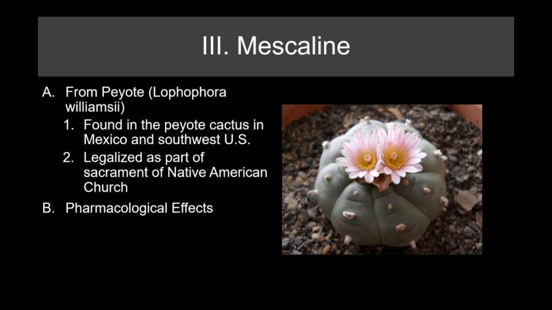 Lecture 20 Psychedelic Drugs Part 1