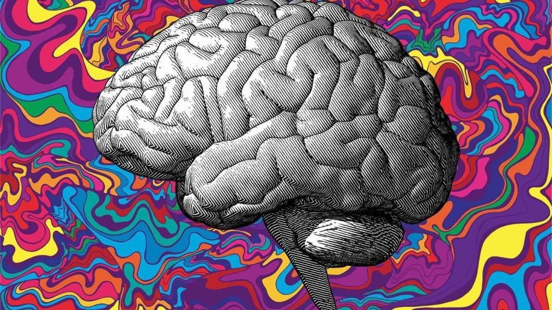 5-MeO-DMT Trip Report_ 'I Received the Message'