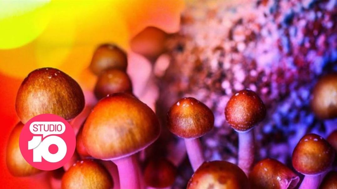 ⁣Psychedelic Mushrooms Being Used To Help People Fight Addiction