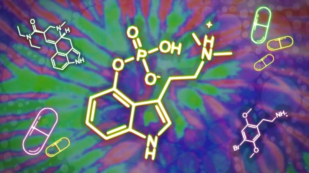 M-15M 15 Common hallucinogens cannabis LSD and psilocybin
