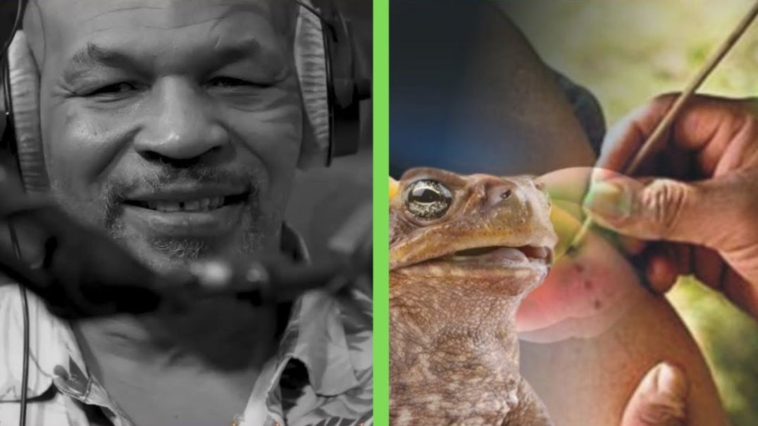 ⁣Mike Tyson on smoking DMT_ ‘Do you understand the toad_’ _ The Art of Conversation w_ Dan Le Batard
