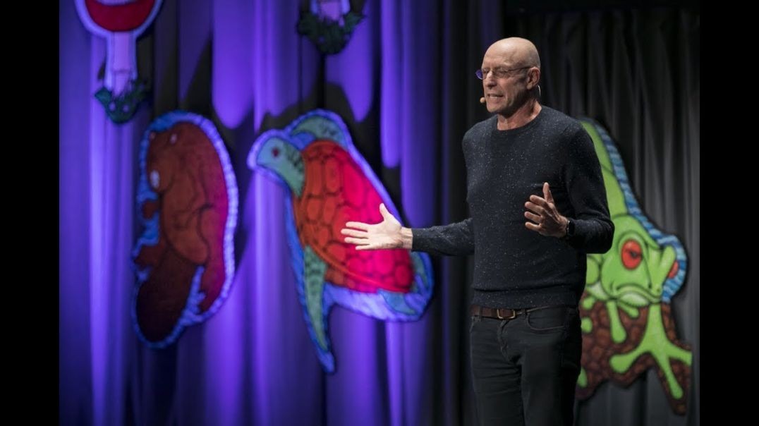 ⁣Michael Pollan - Psychedelics and How to Change Your Mind _ Bioneers