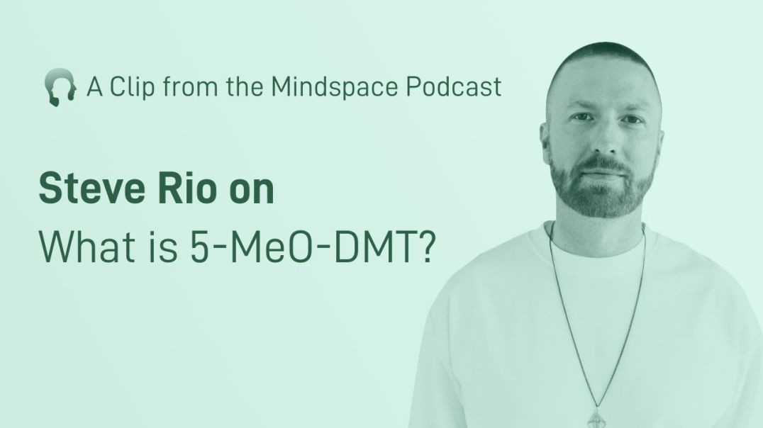 Steve Rio on What 5 MeO-DMT is _ A Mindspace Podcast Clip