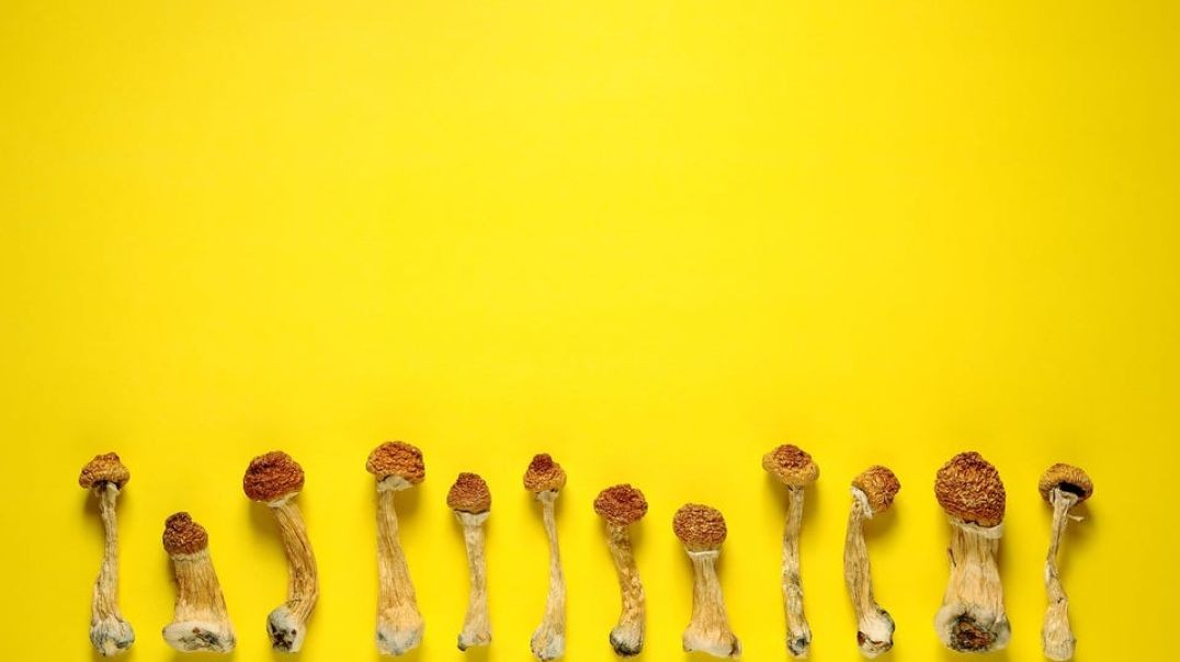 ⁣Psychedelic Drug Could Help Treat Addictions, Study Shows