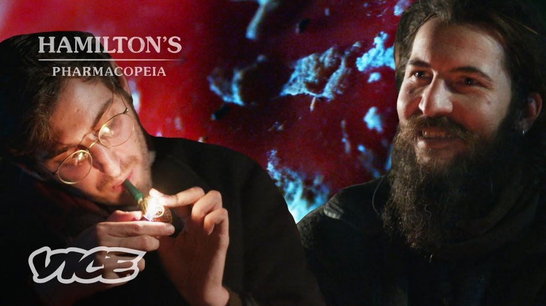 ⁣The Ultimate Magic Mushroom _ HAMILTON'S PHARMACOPEIA