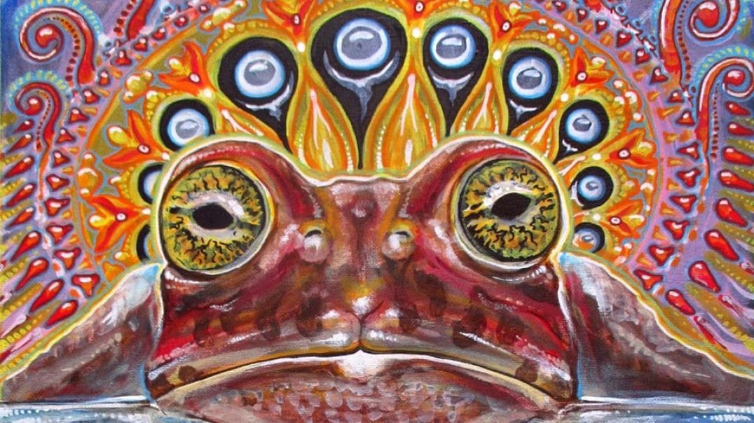 Michael Pollan's first 5-MeO-DMT trip