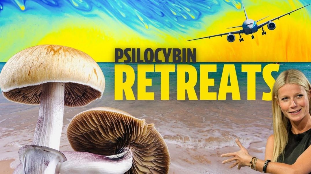 ⁣Why Everyone's Doing Magic Mushrooms In Jamaica (Psilocybin Retreats)