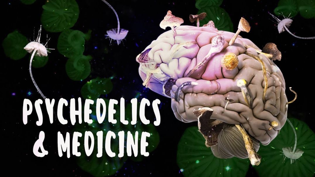 ⁣Psychedelics and Medicine _ Full Documentary