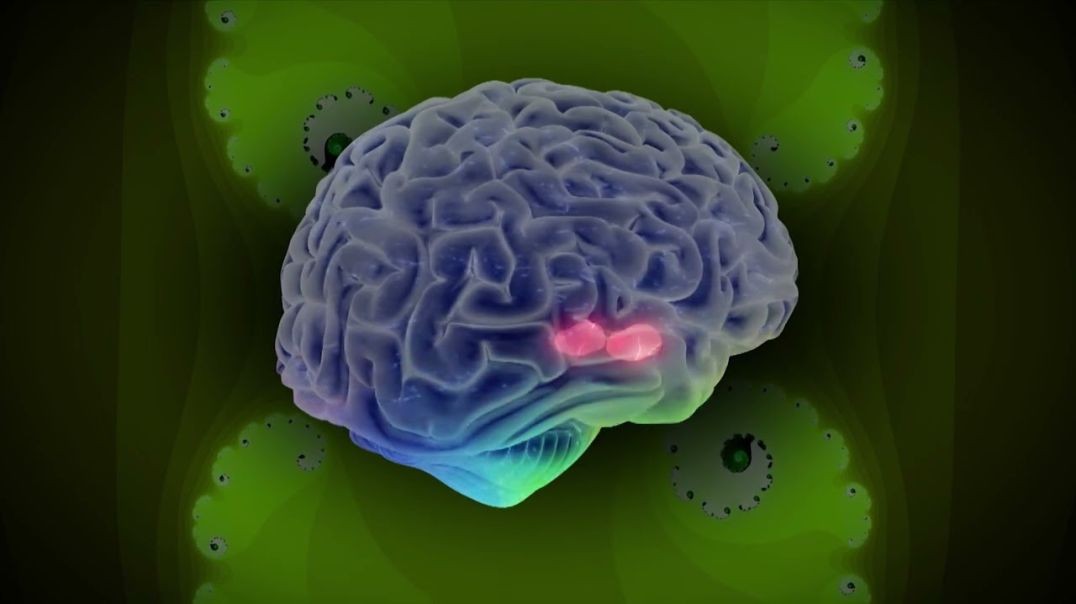 ⁣Can Psychedelics Cure_ _ Trailer