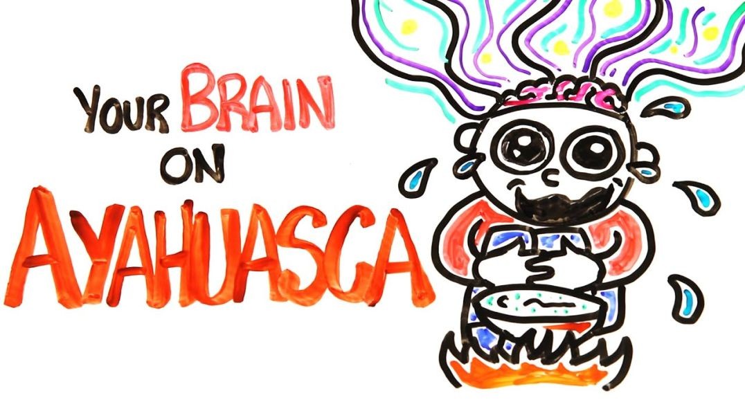⁣Your Brain On Ayahuasca_ The Hallucinogenic Drug