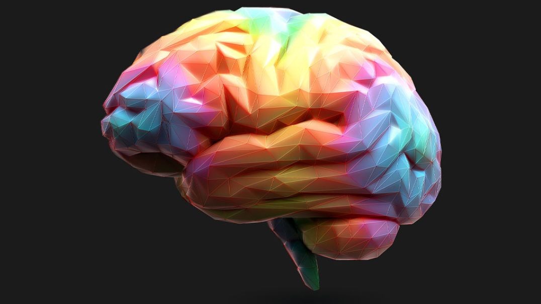 ⁣Inside LSD