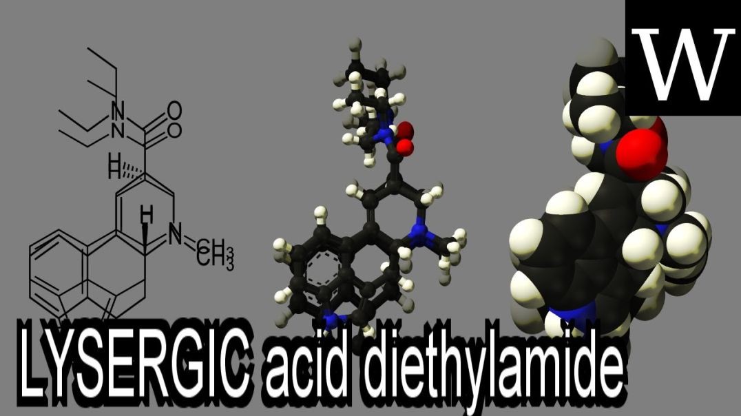 ⁣LYSERGIC acid diethylamide - Documentary