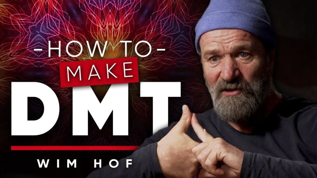 ⁣RELEASING DMT_ How To Release Psychedelic Substance In Your Brain _ Wim Hof On London Real
