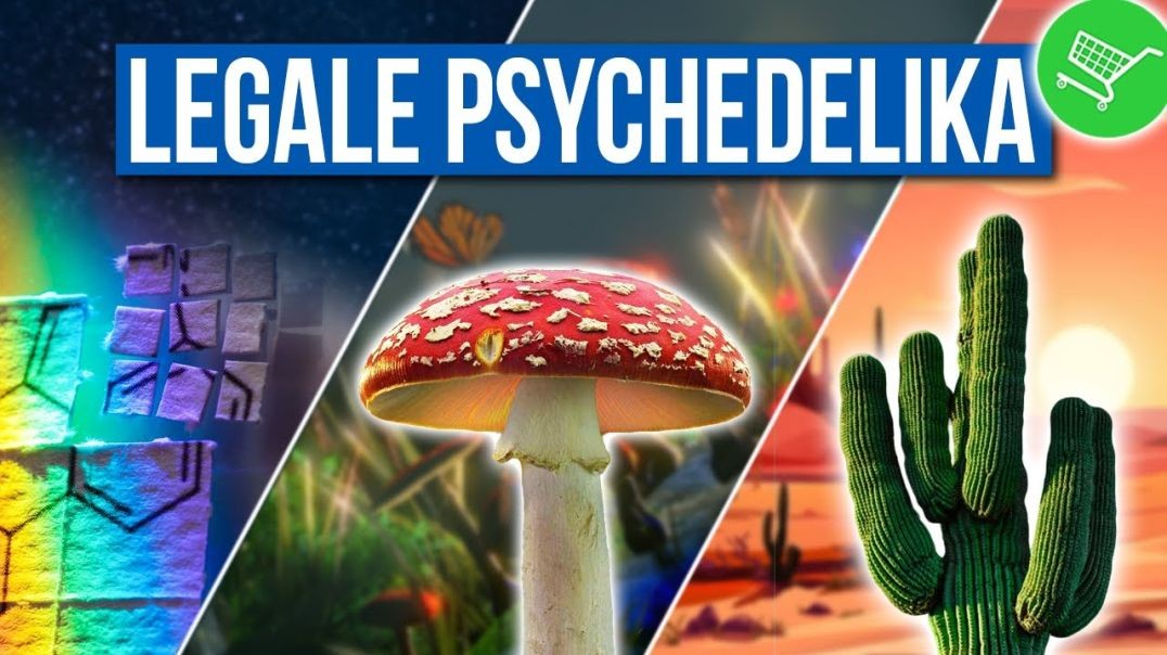 5 LEGALE Psychedelika, die du online bestellen kannst