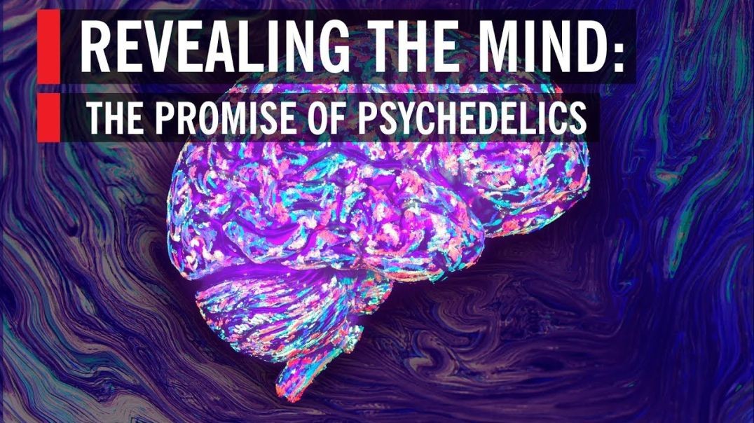 ⁣Revealing the Mind_ The Promise of Psychedelics