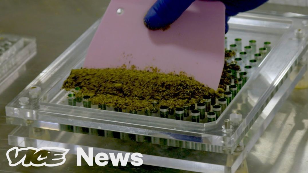 ⁣Is Microdosing The Future of Marijuana_