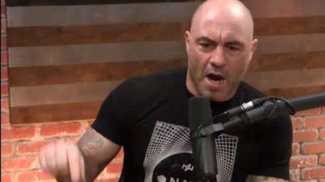 ⁣Joe Rogan - MDMA Therapy Should Be Legal