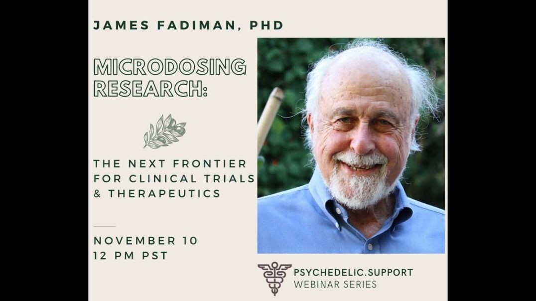 ⁣Psychedelics and Psychotropics_ Drug Interaction and Clinical Approach with Dr