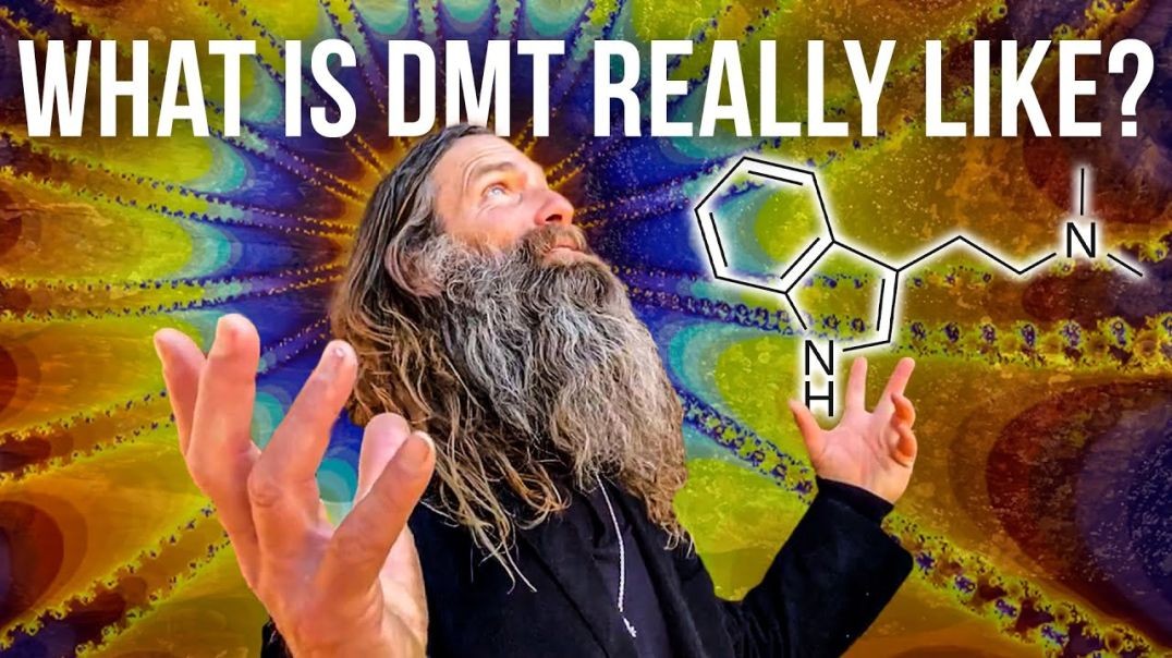 What a DMT Trip is Actually Like _ Health Nut Explains
