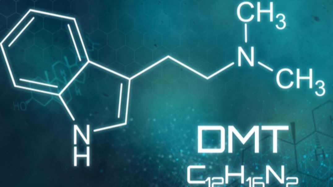 ⁣MindMed investigating potential benefits of DMT in upcoming Phase 1 clinical trial collaboration