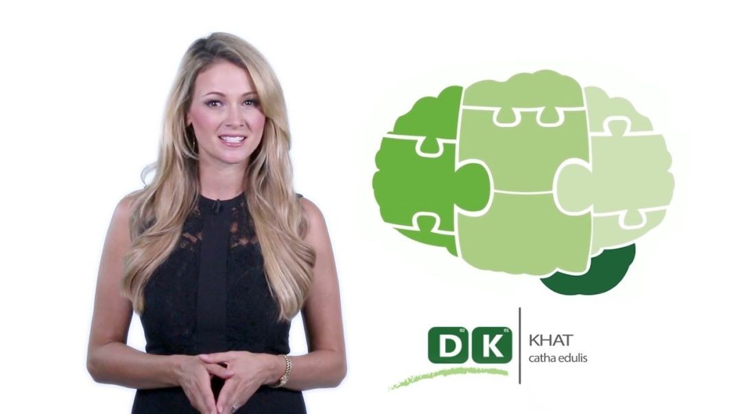 ⁣Khat Addiction and Rehabilitation _ Drug Knowledge _ Detox to Rehab