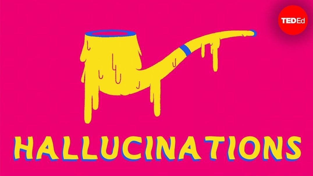 ⁣How much of what you see is a hallucination_ - Elizabeth Cox