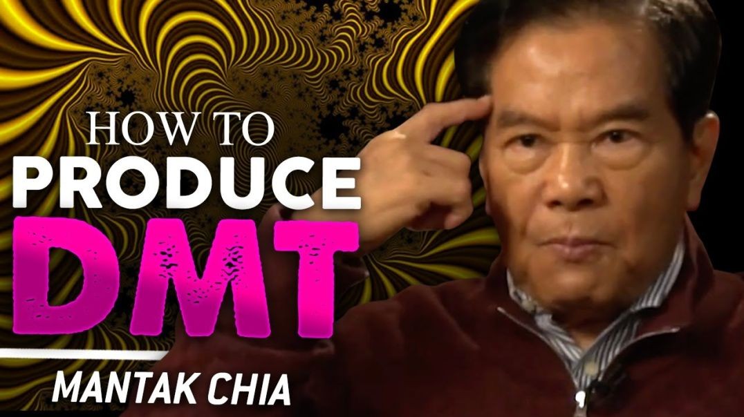 ⁣HOW TO PRODUCE NATURAL DMT - Mantak Chia _ London Real