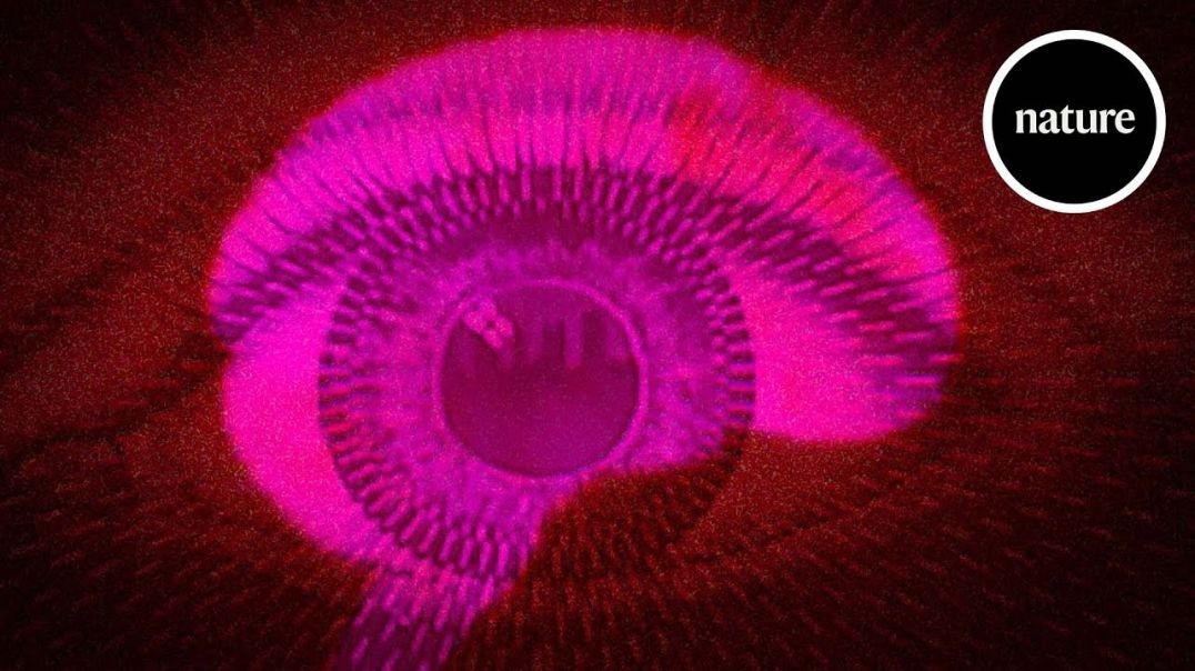 ⁣Psychedelics and consciousness_ Could drugs help quantify our waking state_