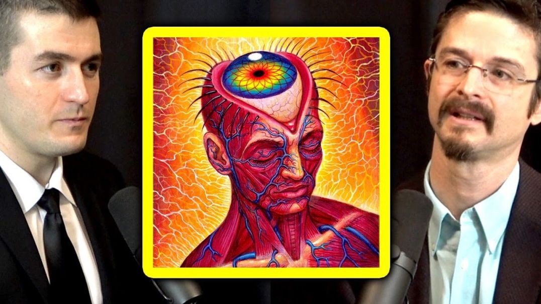 What is a DMT trip like and who are the entities you meet_ _ Matthew Johnson and Lex Fridman