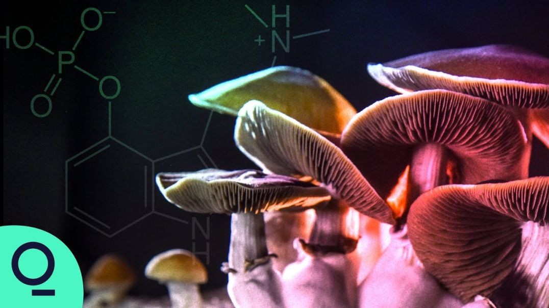 ⁣Psychedelics Are Fueling a Mental Health Revolution