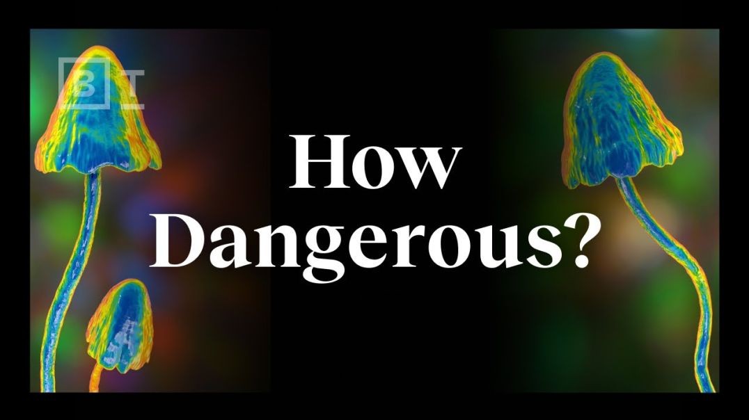 ⁣The real risks of psychedelics, explained by an expert _ Dr