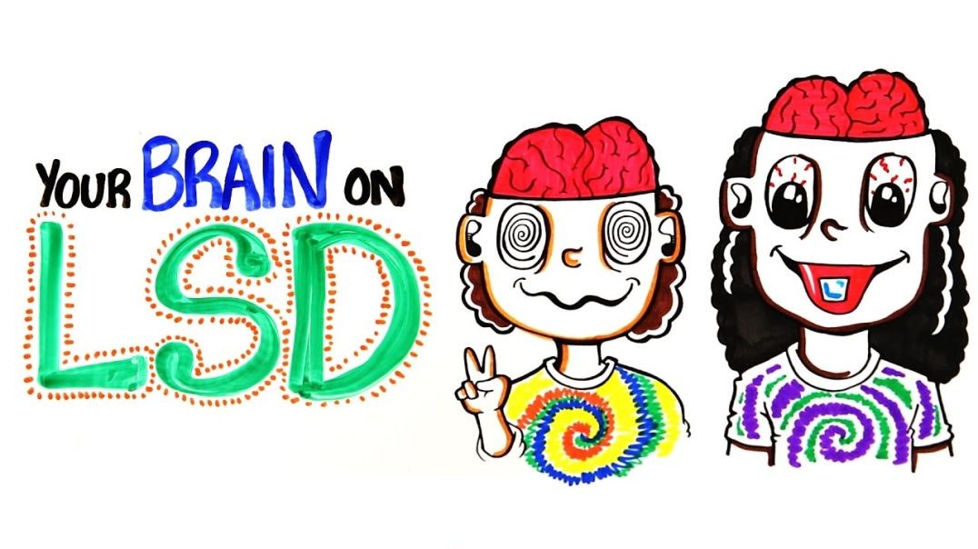 ⁣Your Brain on LSD and Acid