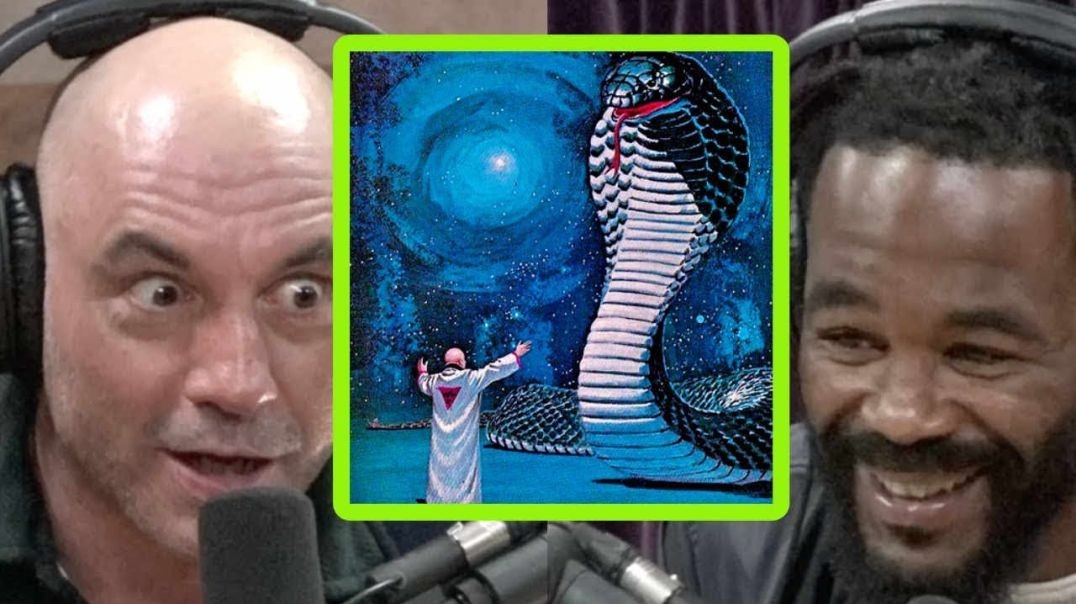 ⁣Joe Rogan and Rashad Evans Compare DMT Experiences