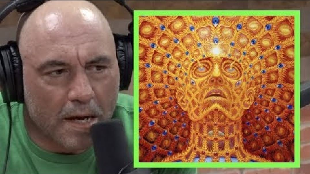 ⁣Joe Rogan Once Did DMT 3 Times in One Day