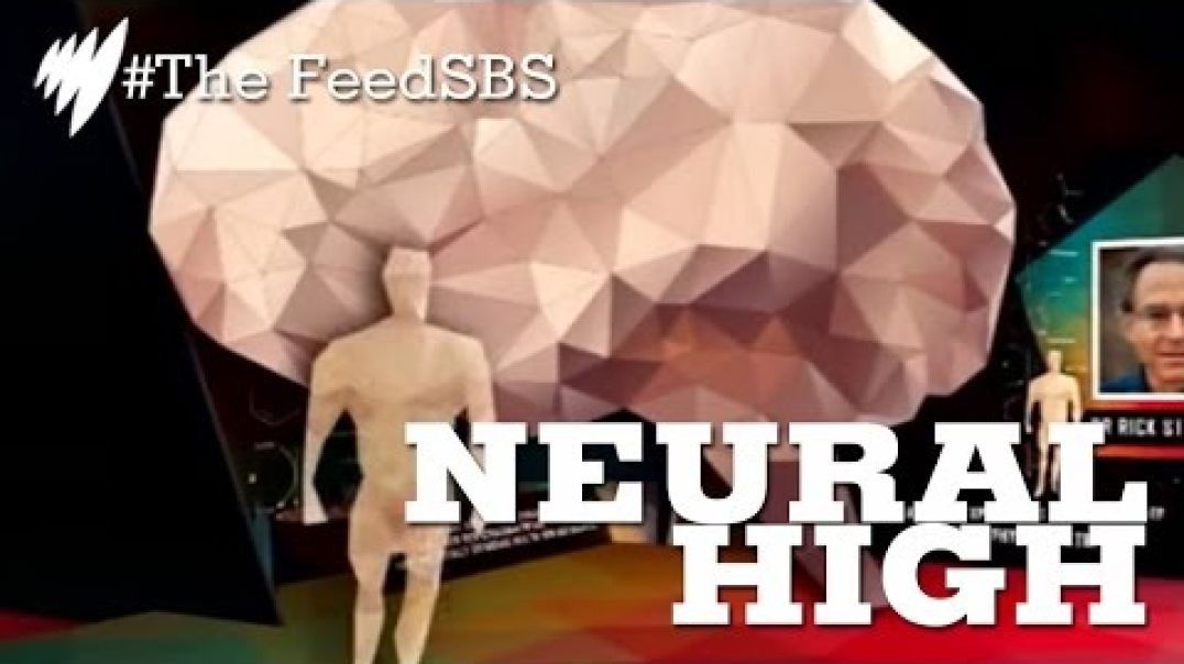 ⁣DMT_ The Hallucinogenic Drug Produced In the Brain I The Feed