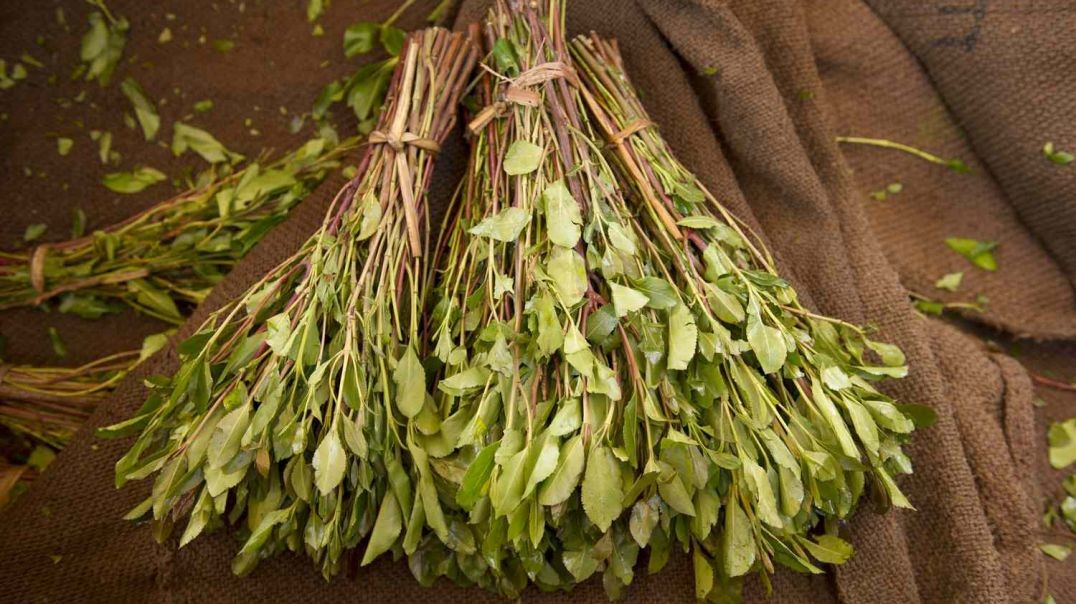 What is Khat_
