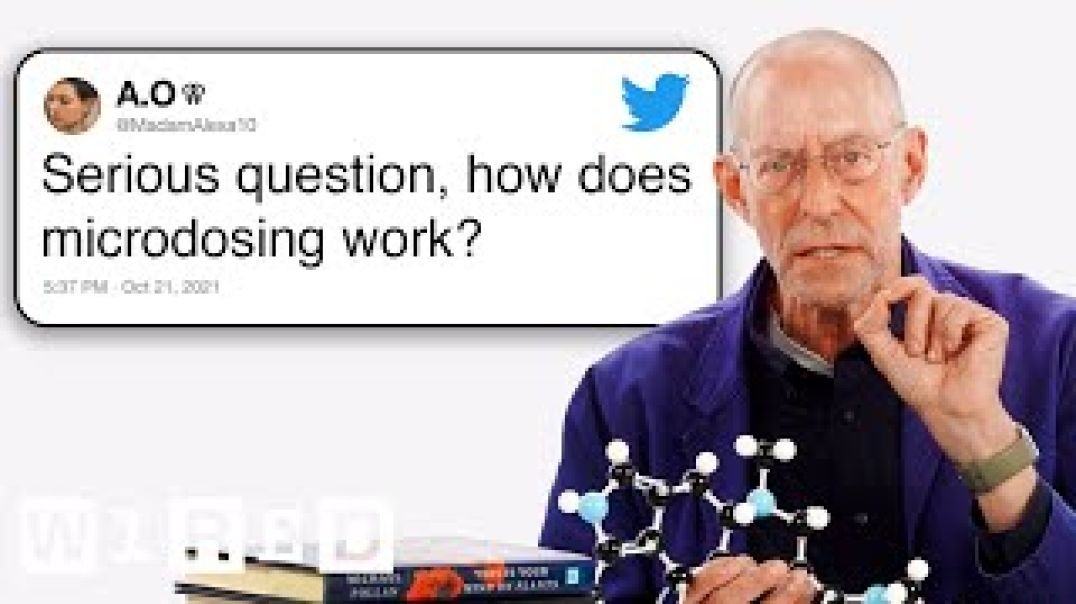 ⁣Expert Answers Psychedelics Questions From Twitter